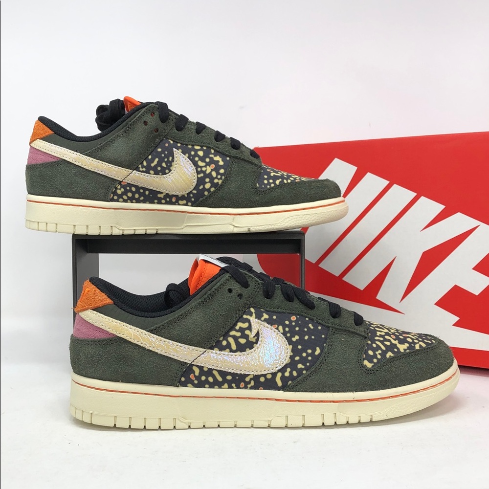 Nike Dunk Low Retro Rainbow Trout FN7523-300 Men’s Sneakers - Size 9